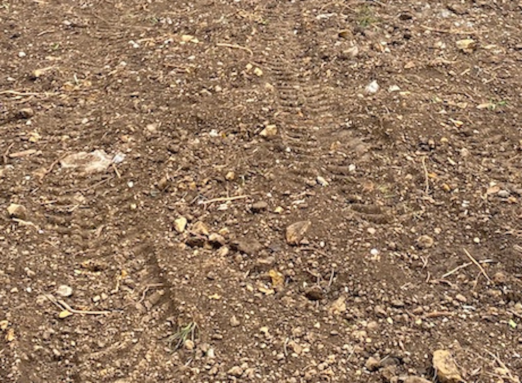 【成約済】沼にどっぷりハマる 純粋リアルエステート